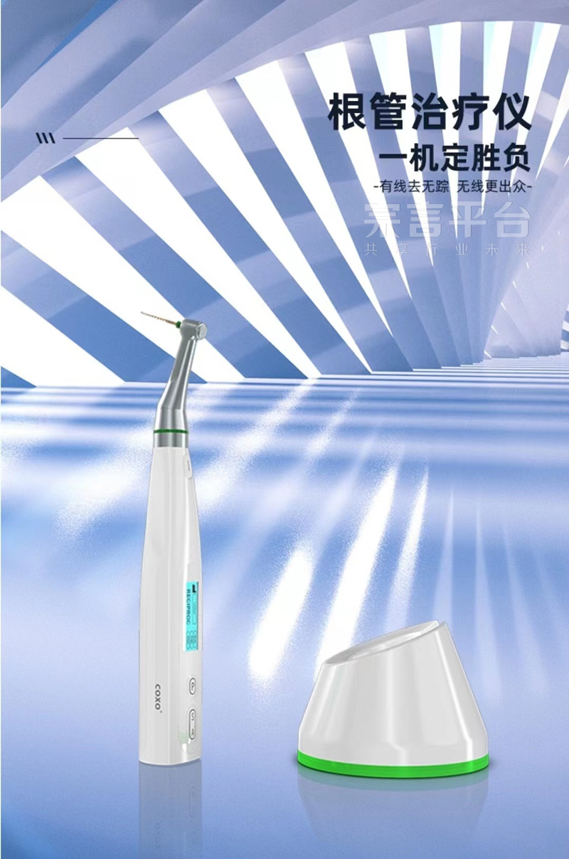 5白.jpg