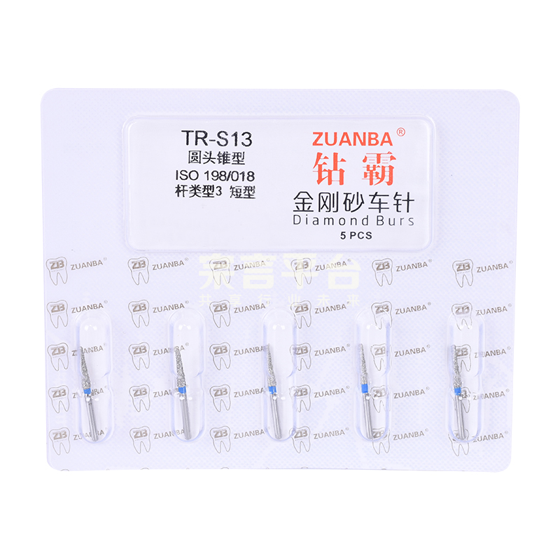 TR-S13白.jpg