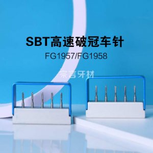 SBT破冠车针FG1957/FG1958  硬质合金高速车针