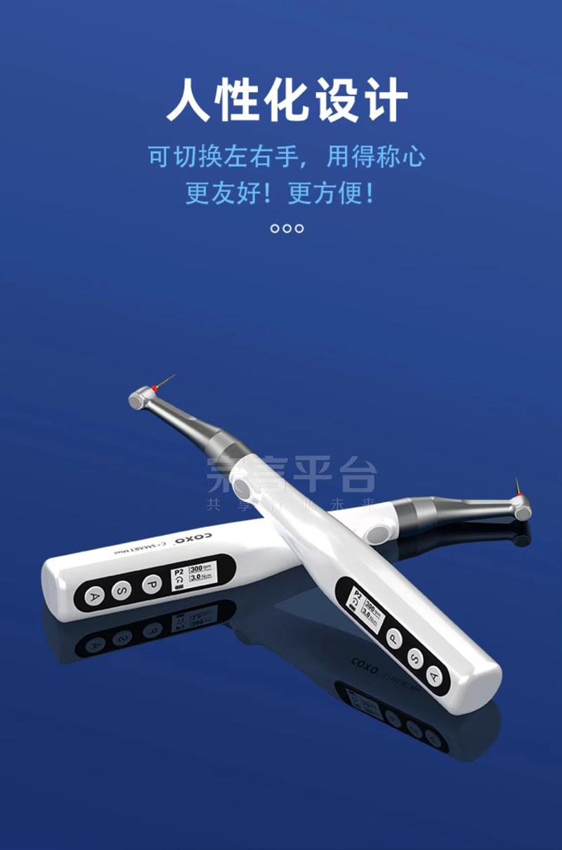 5白.jpg