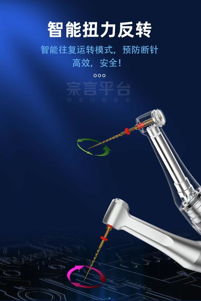 6白.jpg